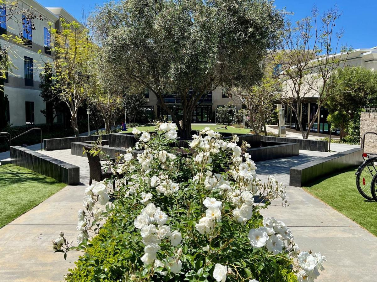 Staybridge Suites Carlsbad/San Diego, An Ihg Hotel Exterior foto